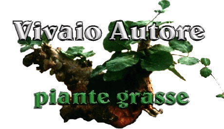 www.vivaioautore.com